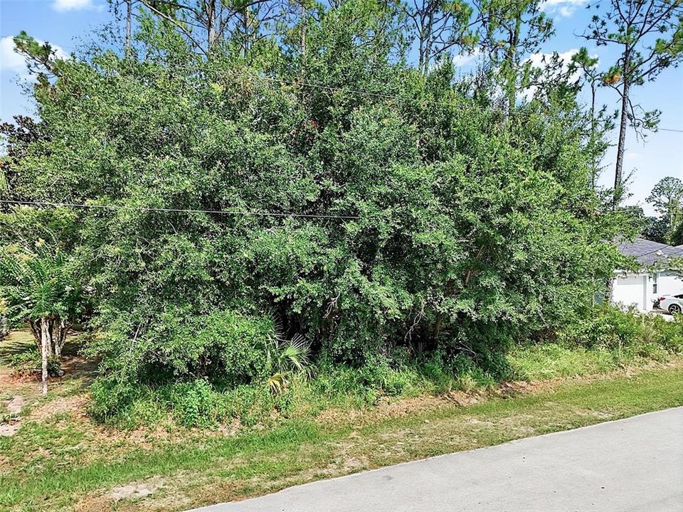 На продажу: $75,000 (0.23 acres)