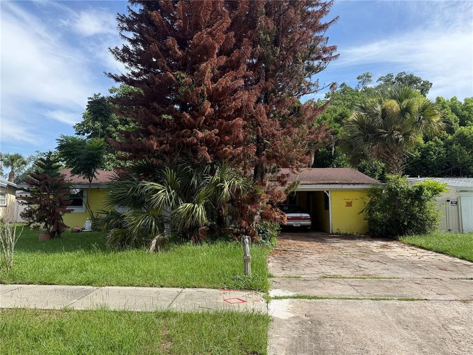 En Venta: $425,000 (0.19 acres)