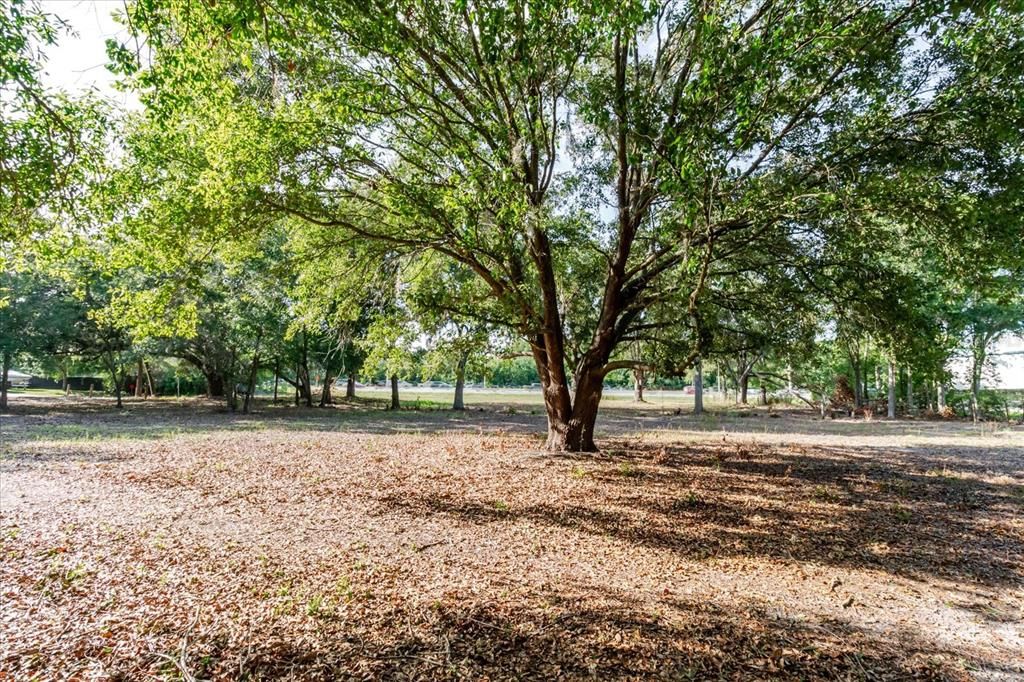 En Venta: $275,000 (1.06 acres)