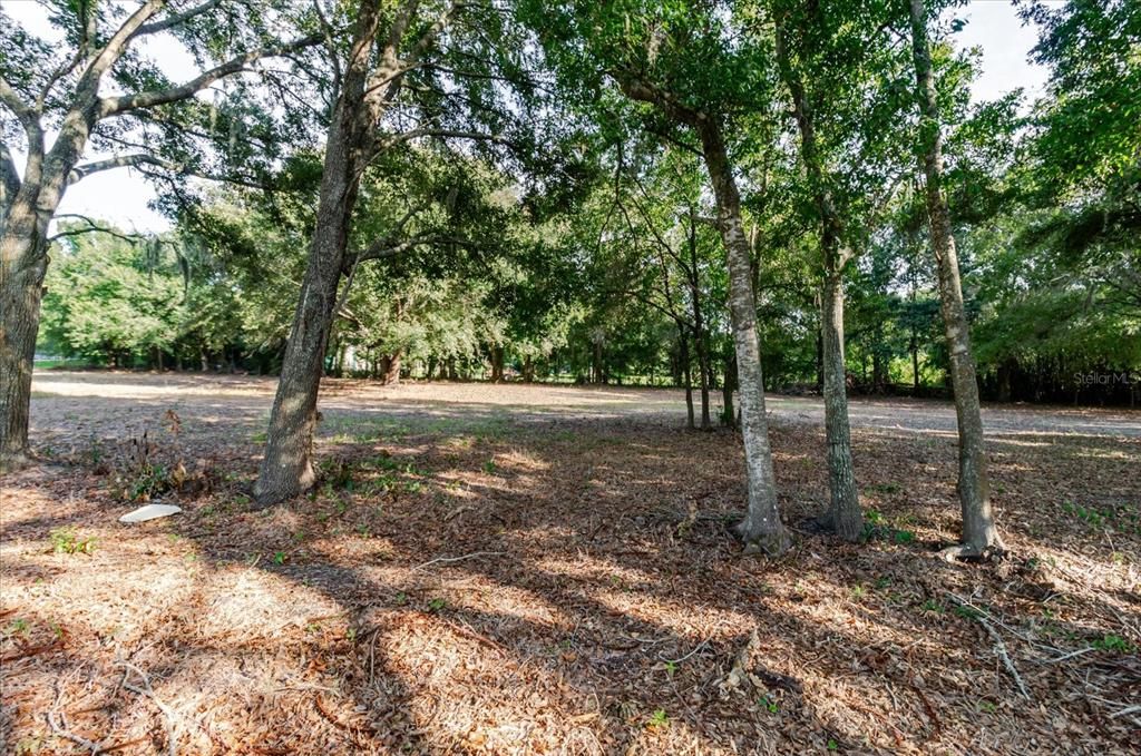 En Venta: $275,000 (1.06 acres)
