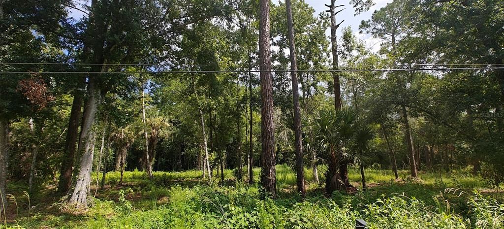 待售: $299,000 (5.00 acres)