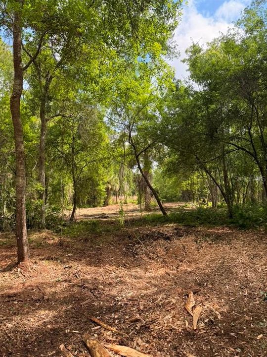 待售: $299,000 (5.00 acres)