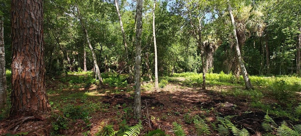待售: $299,000 (5.00 acres)