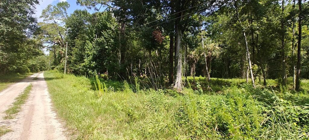 待售: $299,000 (5.00 acres)