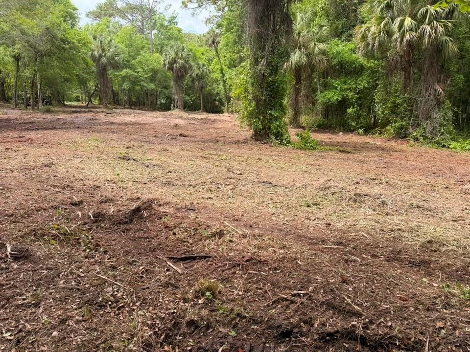 待售: $299,000 (5.00 acres)