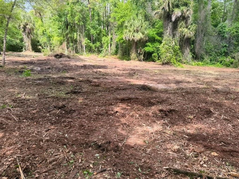 待售: $299,000 (5.00 acres)