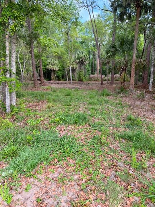 待售: $299,000 (5.00 acres)