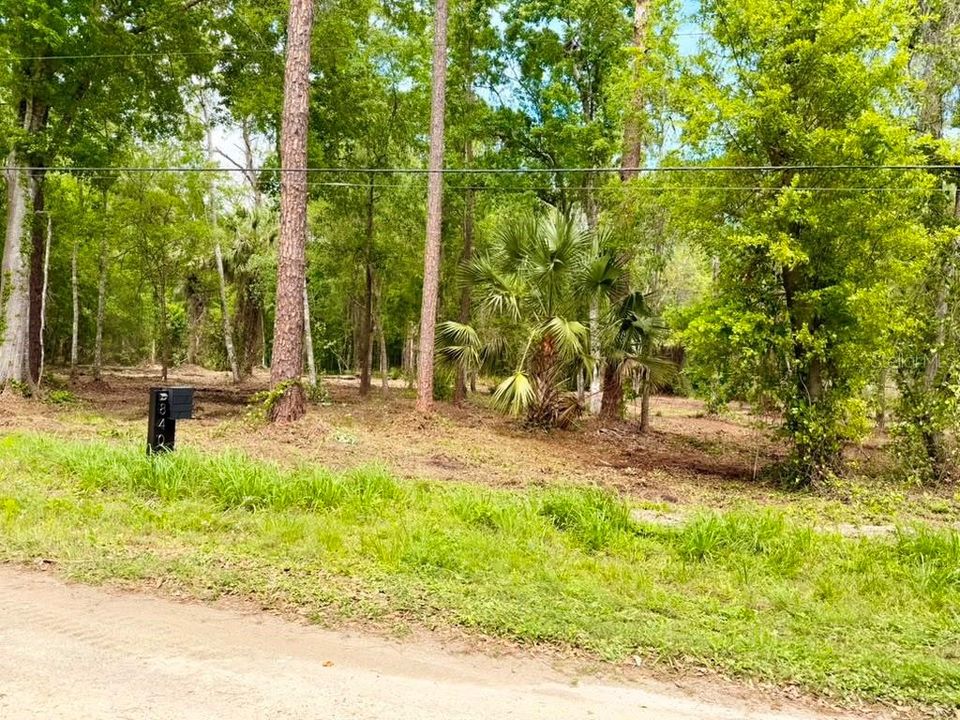 待售: $299,000 (5.00 acres)