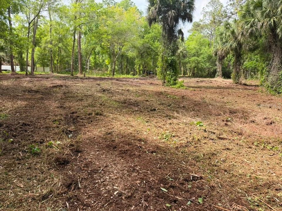 待售: $299,000 (5.00 acres)
