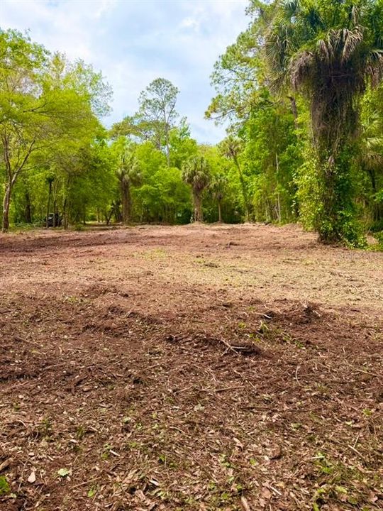 待售: $299,000 (5.00 acres)