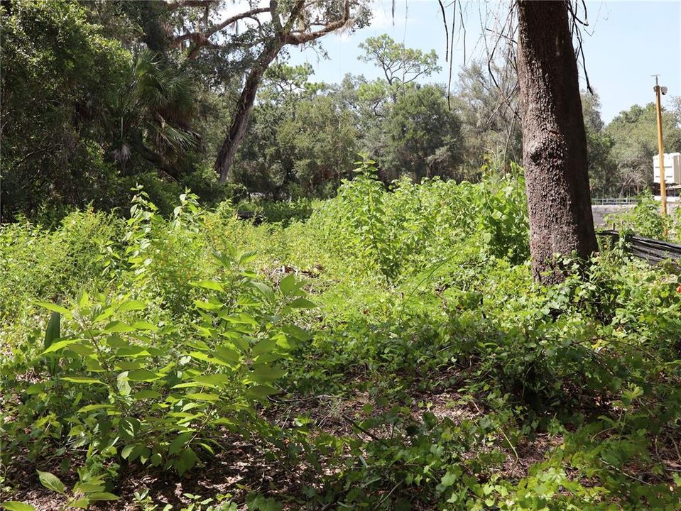 For Sale: $249,900 (1.52 acres)