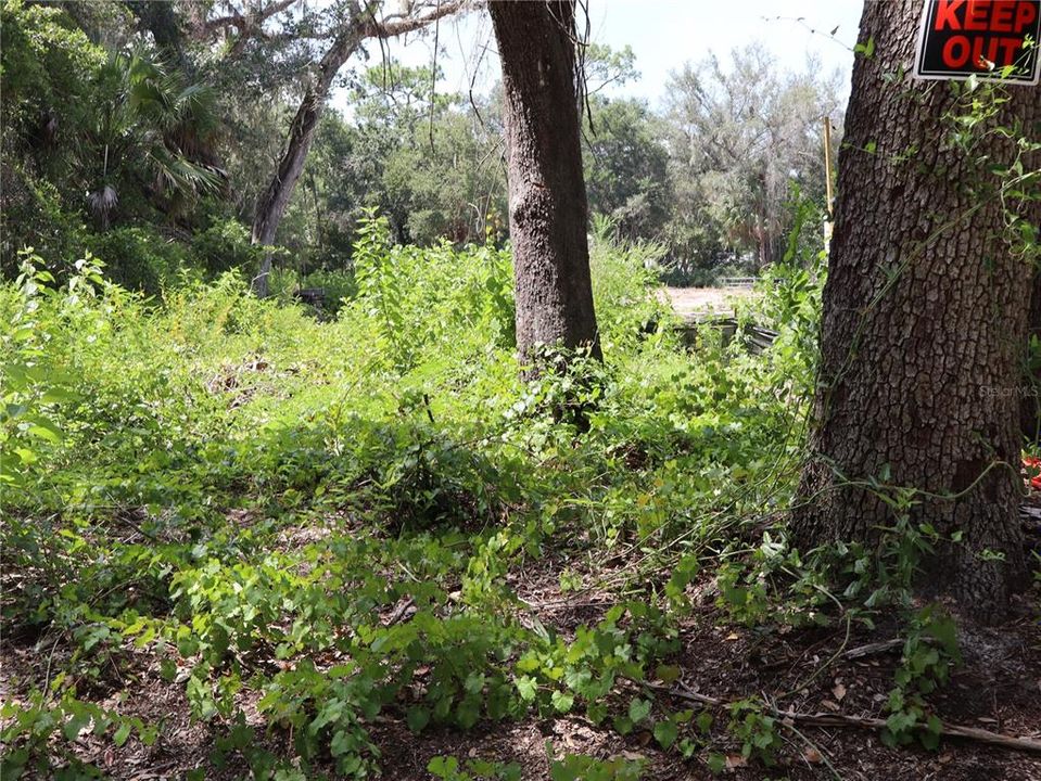 For Sale: $249,900 (1.52 acres)