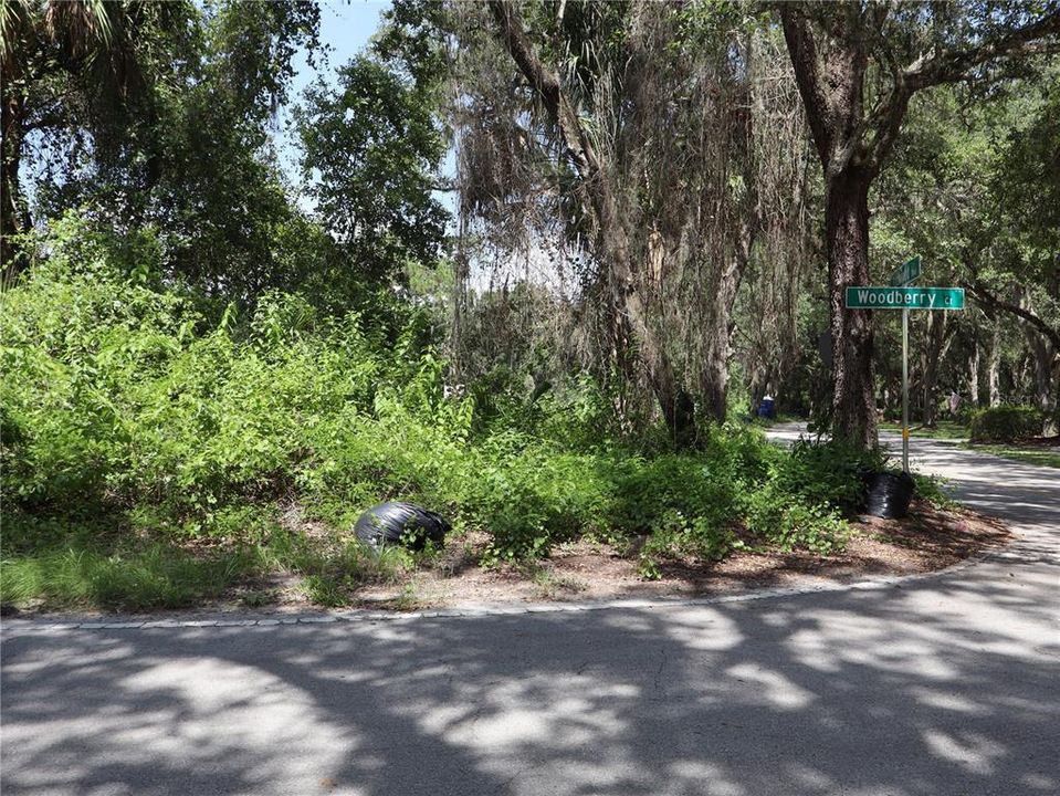 For Sale: $249,900 (1.52 acres)
