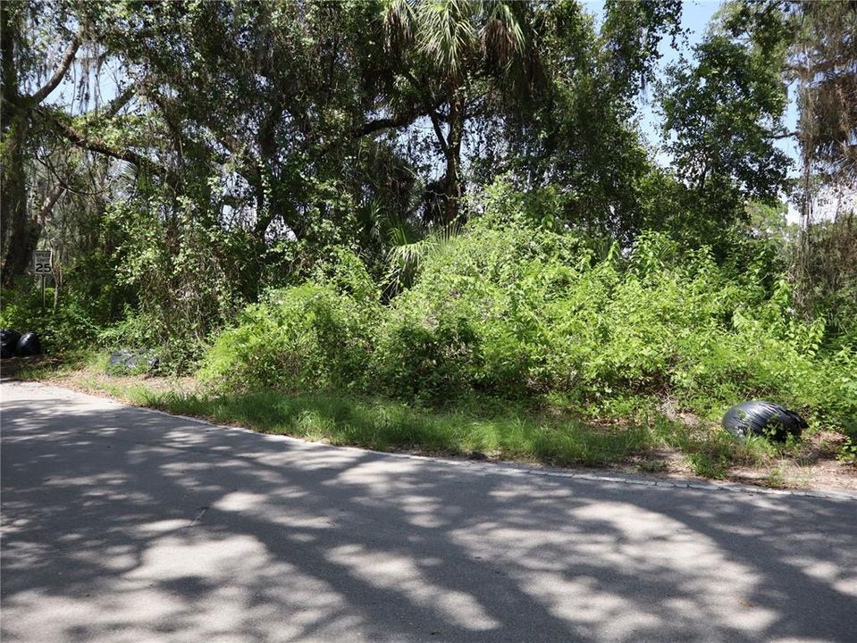For Sale: $249,900 (1.52 acres)