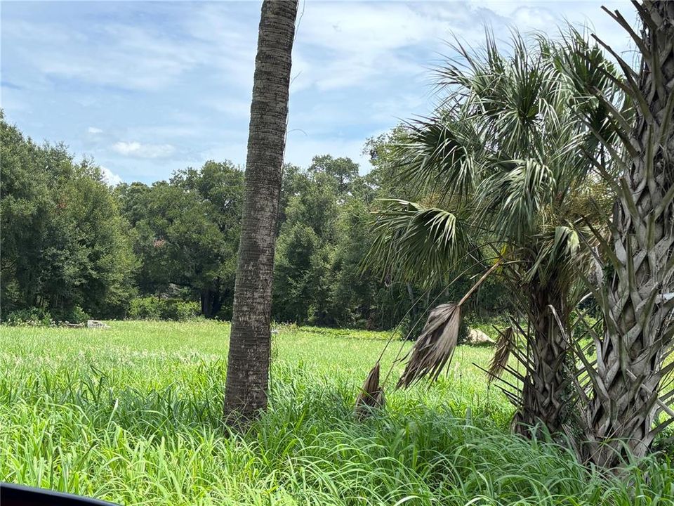 待售: $250,000 (11.49 acres)