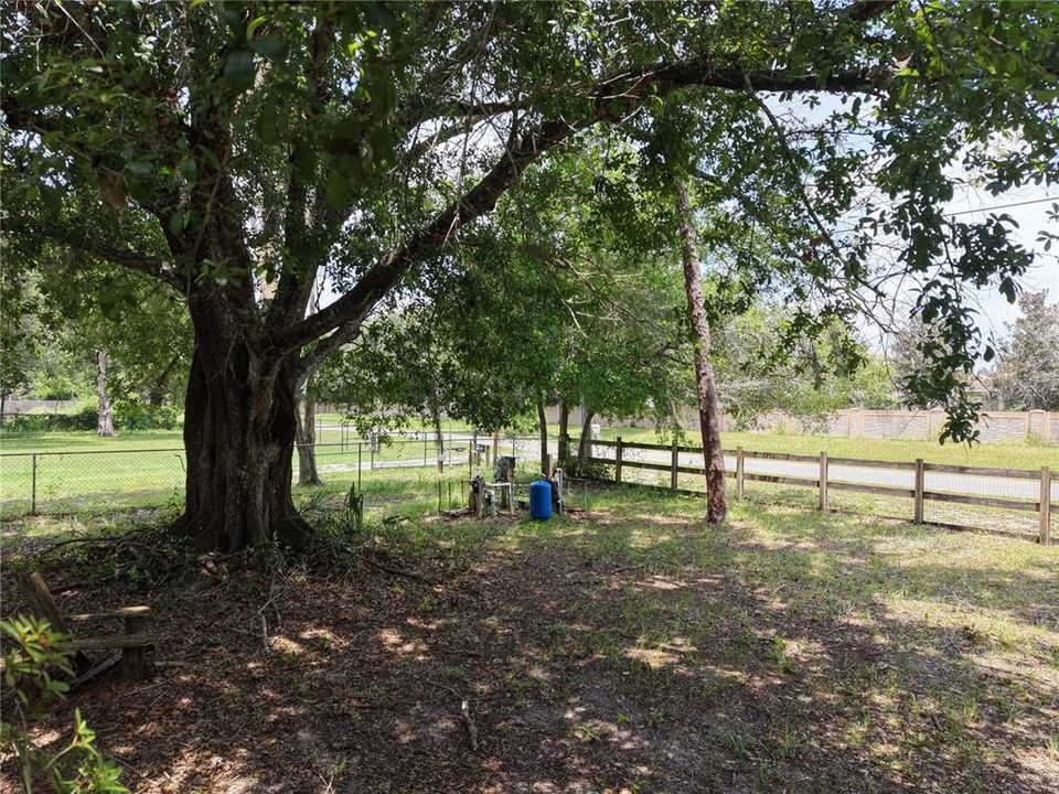 En Venta: $195,000 (3 camas, 2 baños, 1344 Pies cuadrados)