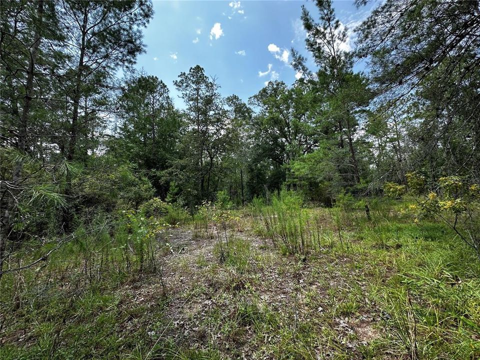 En Venta: $34,900 (1.00 acres)