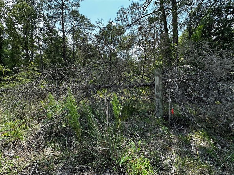 En Venta: $34,900 (1.00 acres)