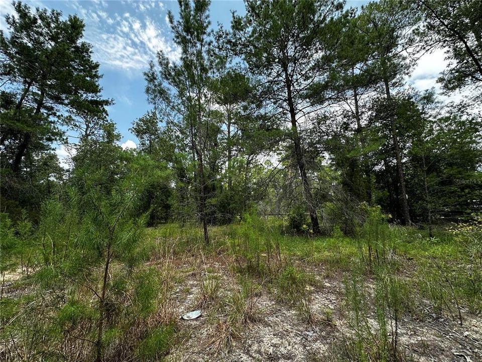En Venta: $34,900 (1.00 acres)
