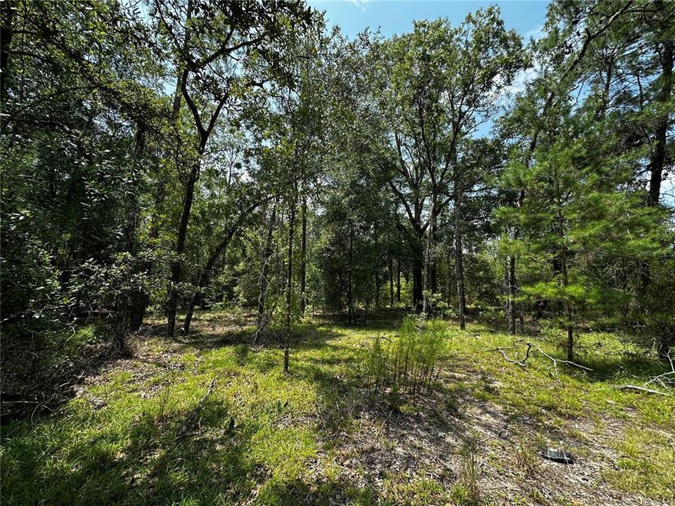 En Venta: $34,900 (1.00 acres)