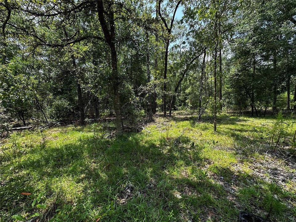 En Venta: $34,900 (1.00 acres)