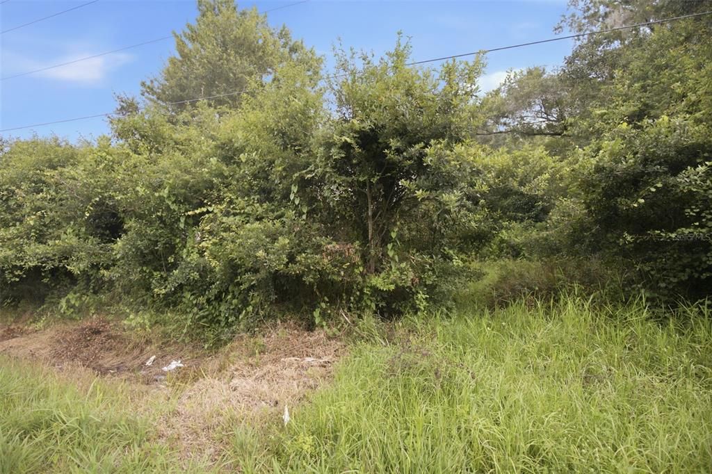 Под контрактом: $163,000 (4.91 acres)