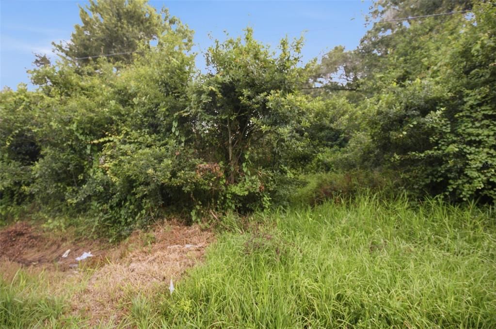 Под контрактом: $163,000 (4.91 acres)