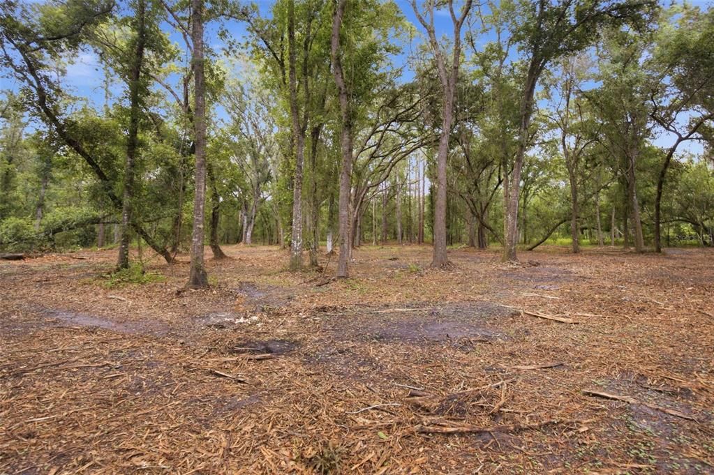 Под контрактом: $163,000 (4.91 acres)