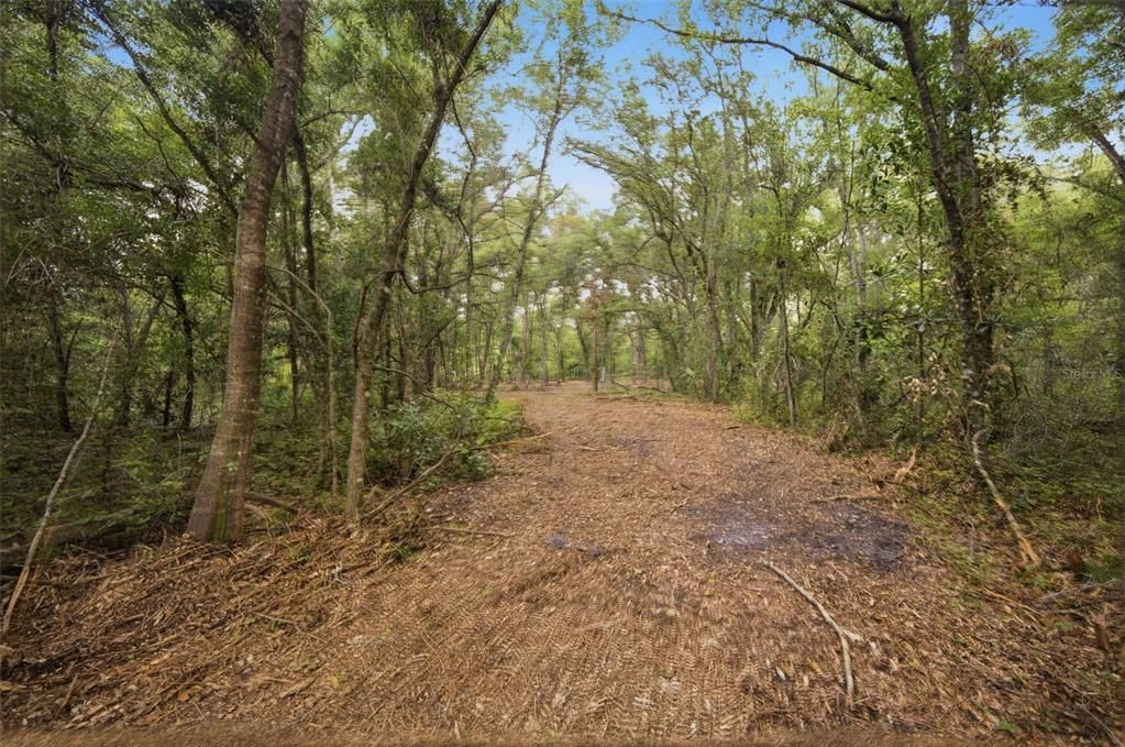 Под контрактом: $163,000 (4.91 acres)