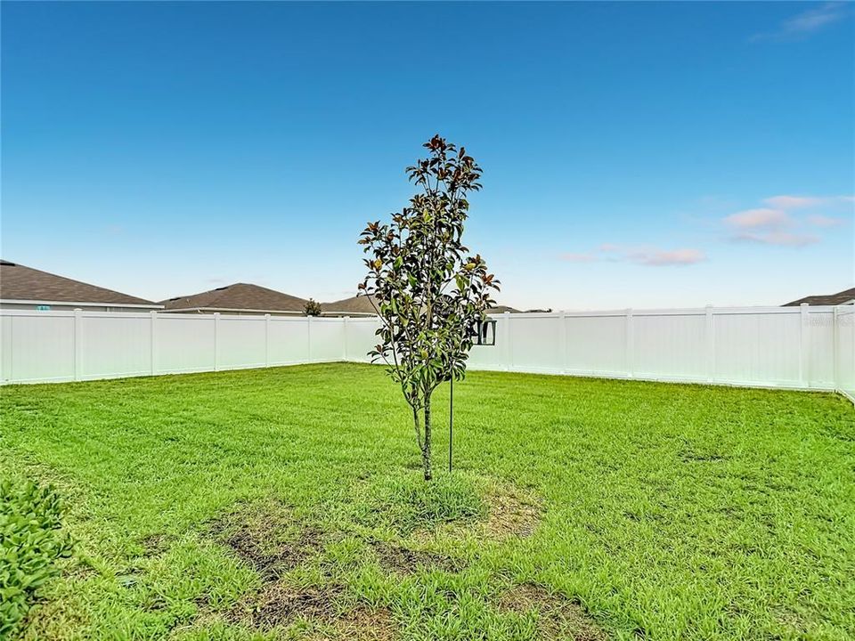 На продажу: $325,000 (3 спален, 2 ванн, 1440 Квадратных фут)