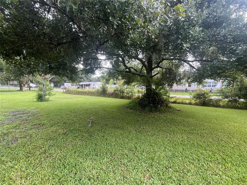 For Sale: $275,000 (3 beds, 2 baths, 1568 Square Feet)