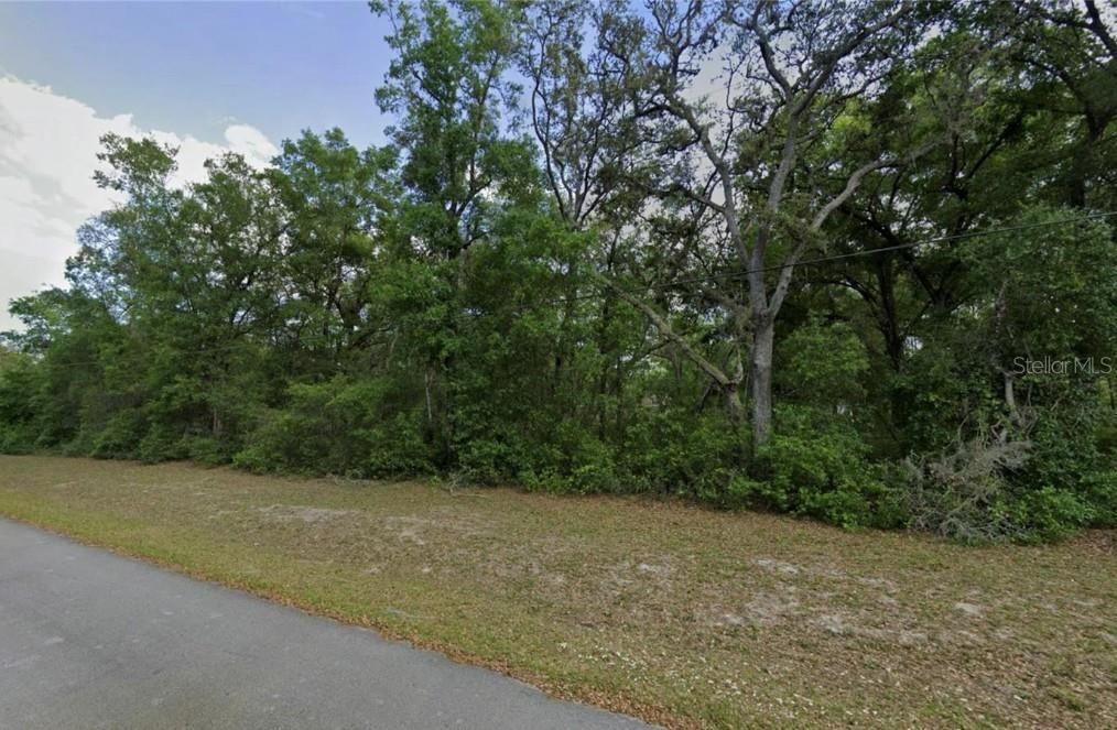 For Sale: $35,000 (0.30 acres)