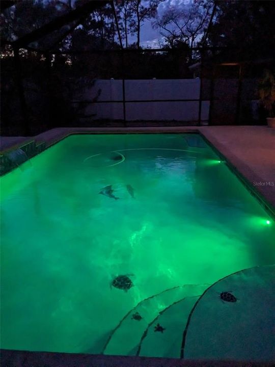 En Venta: $396,000 (3 camas, 2 baños, 1415 Pies cuadrados)