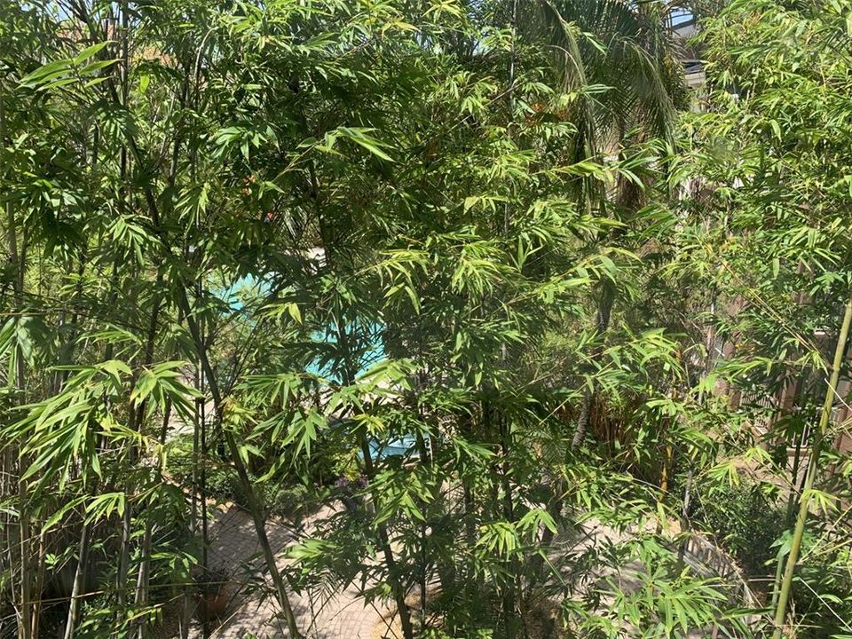 En Venta: $299,000 (1 camas, 1 baños, 789 Pies cuadrados)