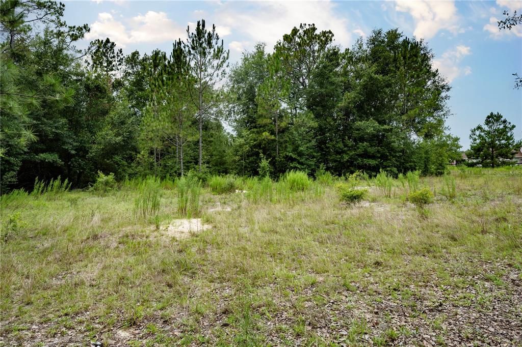 На продажу: $255,000 (4.16 acres)