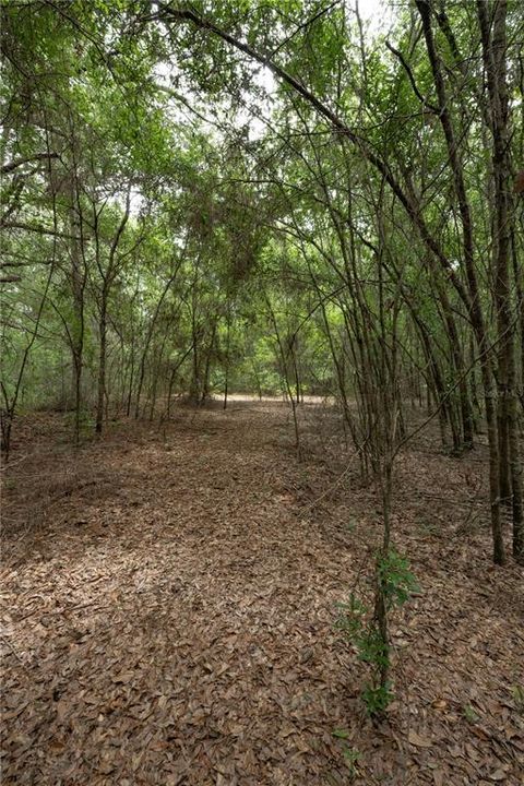 На продажу: $255,000 (4.16 acres)