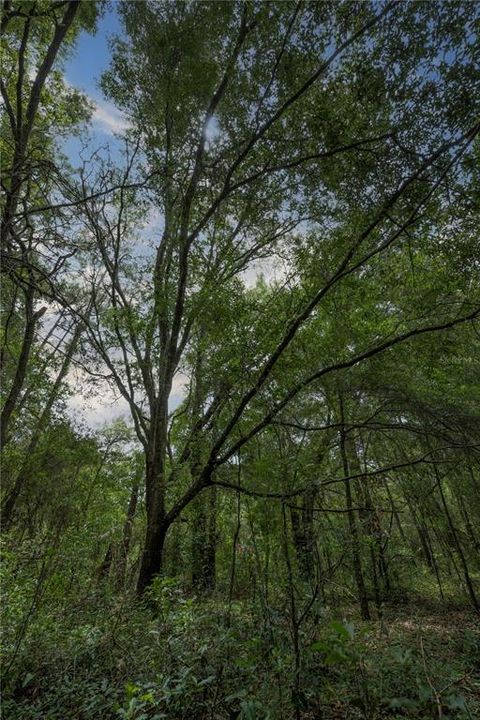 На продажу: $255,000 (4.16 acres)
