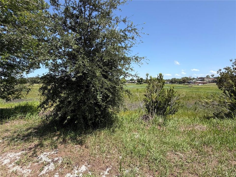 На продажу: $85,000 (0.34 acres)