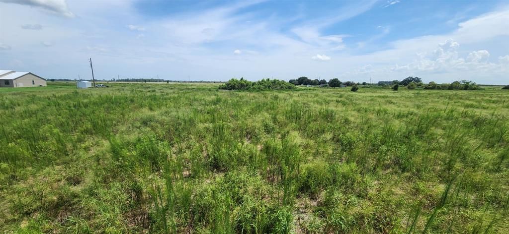 For Sale: $250,000 (5.43 acres)