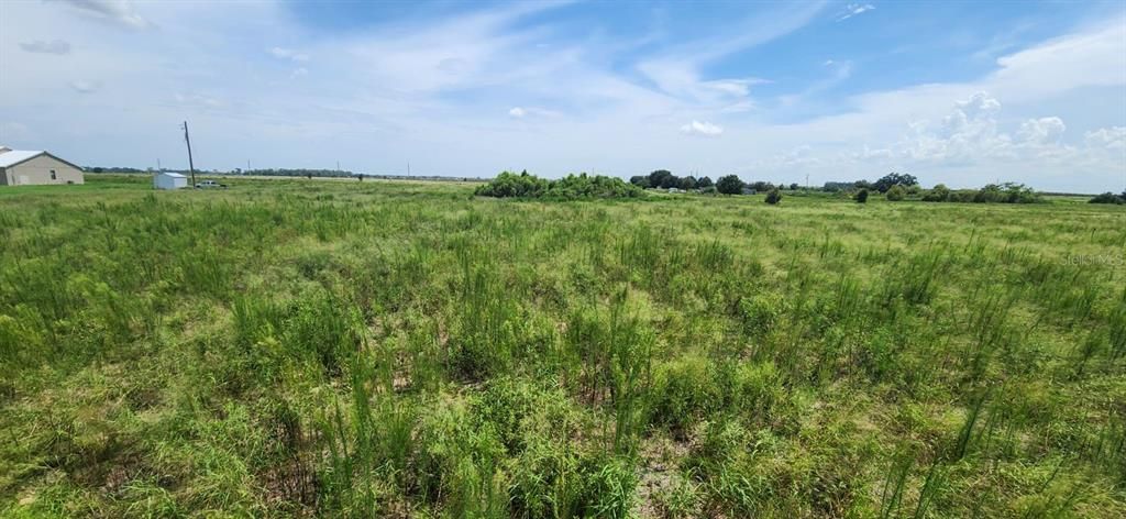 For Sale: $250,000 (5.43 acres)