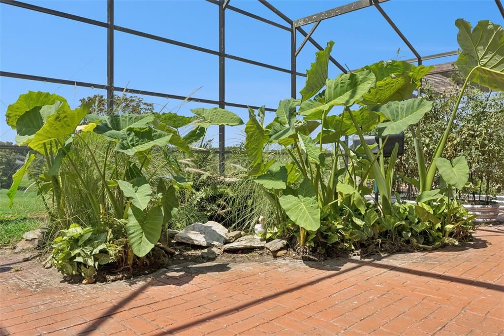 En Venta: $749,900 (3 camas, 2 baños, 2003 Pies cuadrados)