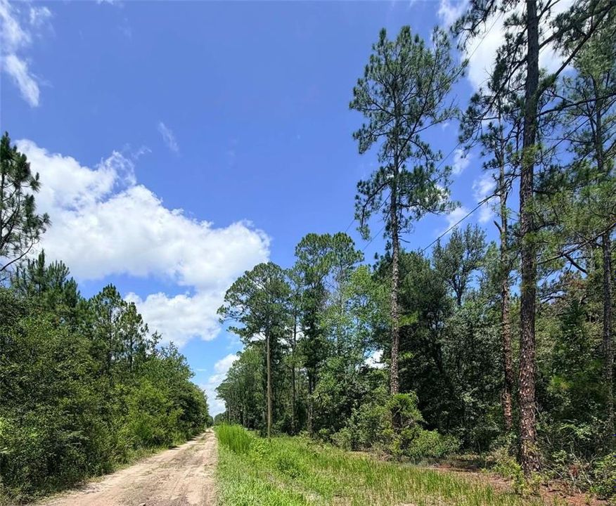 En Venta: $89,900 (8.00 acres)