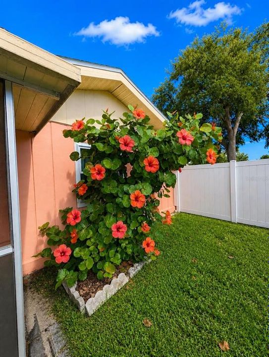 For Sale: $349,900 (4 beds, 2 baths, 1400 Square Feet)