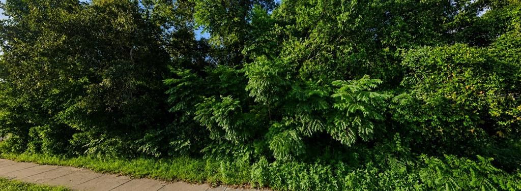 待售: $69,000 (0.22 acres)