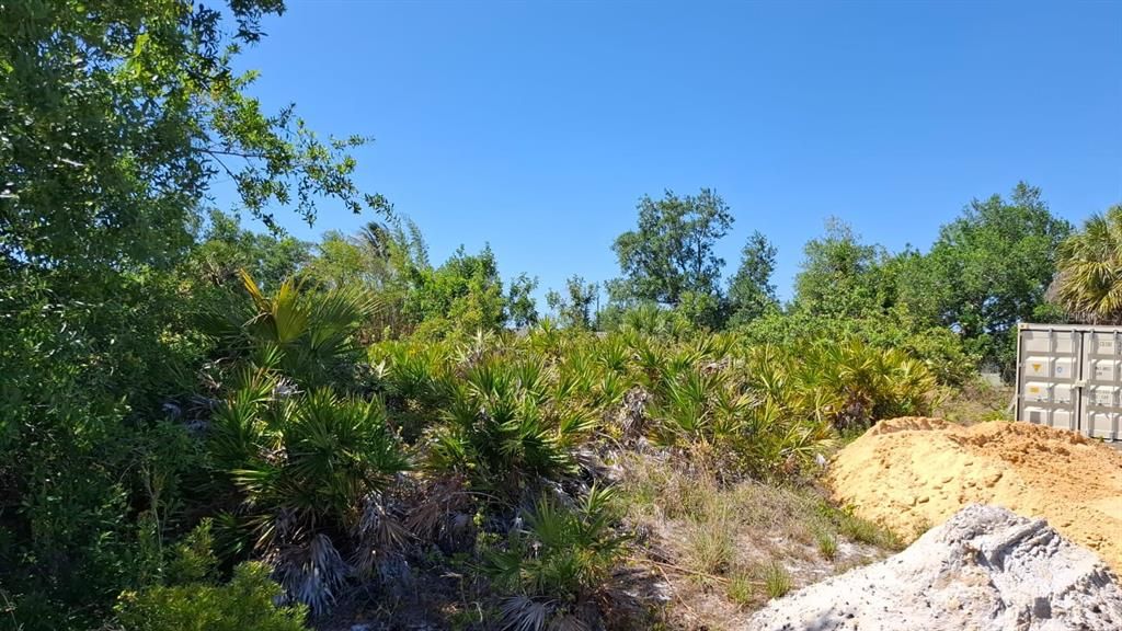 For Sale: $19,000 (0.23 acres)