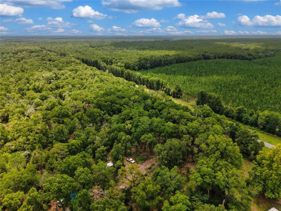 待售: $42,000 (2.13 acres)