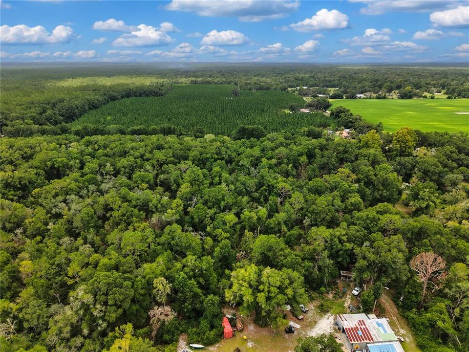 待售: $42,000 (2.13 acres)