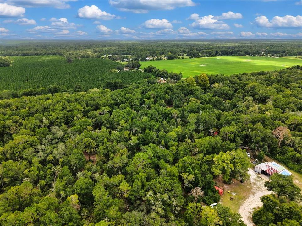 待售: $42,000 (2.13 acres)