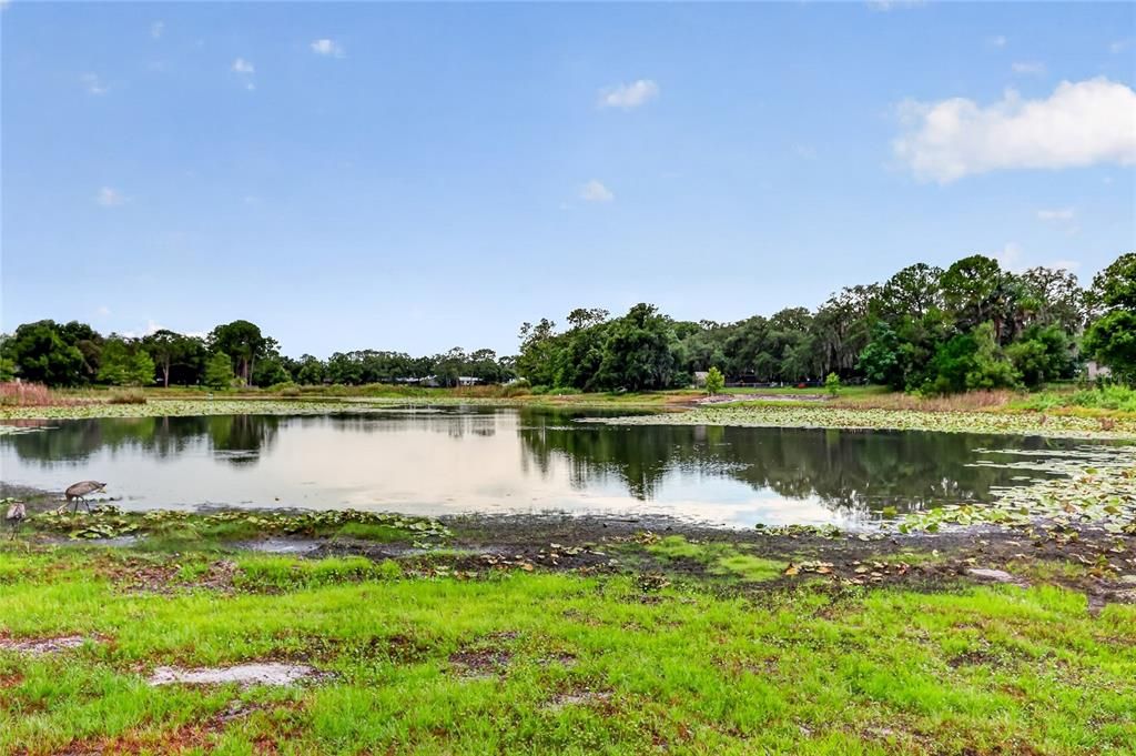 En Venta: $290,000 (3 camas, 2 baños, 1686 Pies cuadrados)