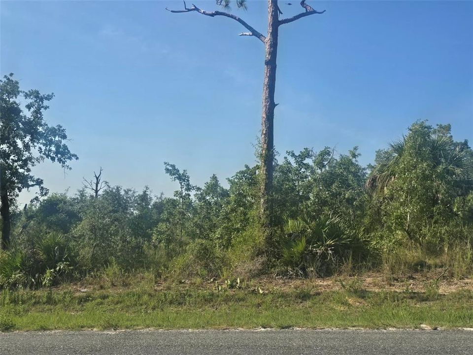 En Venta: $49,500 (0.47 acres)
